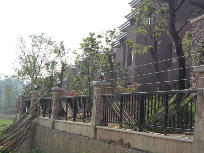 绿城物业服务集团有限公司 实景图 2
