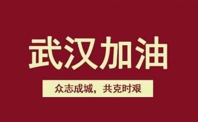 关于杭州坚盾信息技术有限公司延期复工通知