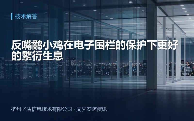 反嘴鹬小鸡在电子围栏的保护下更好的繁衍生息