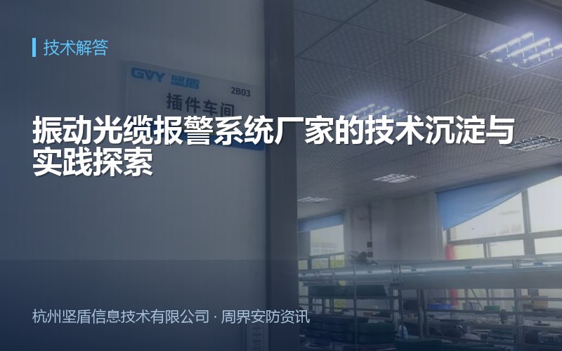 振动光缆报警系统厂家的技术沉淀与实践探索